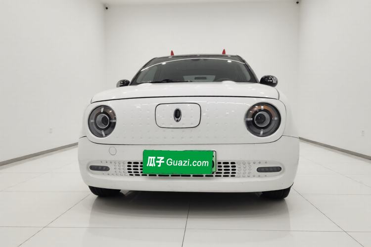 Used ORA Black Cat 2019 351 km Goddess Edition Exterior 1