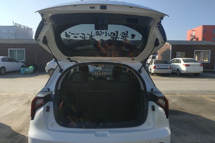 Used Geometry E Firefly 2023 401KM Lightning Tiger 5-Seater
