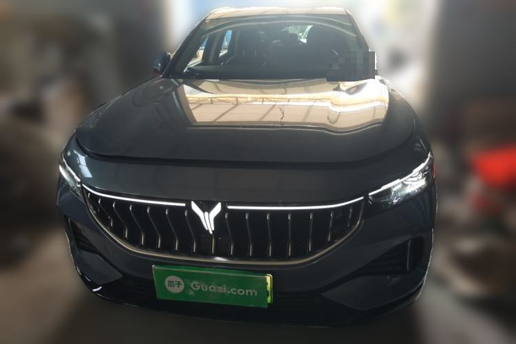 Used VOYAH FREE 2021 Four-Wheel Drive Standard Range-Extended Version