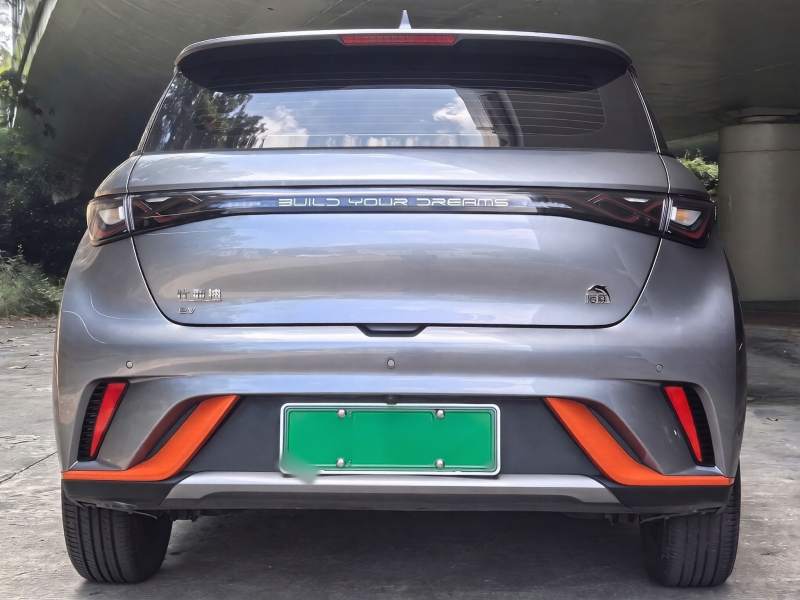 Used BYD Dolphin 2021 405 km Fashion Edition — 30