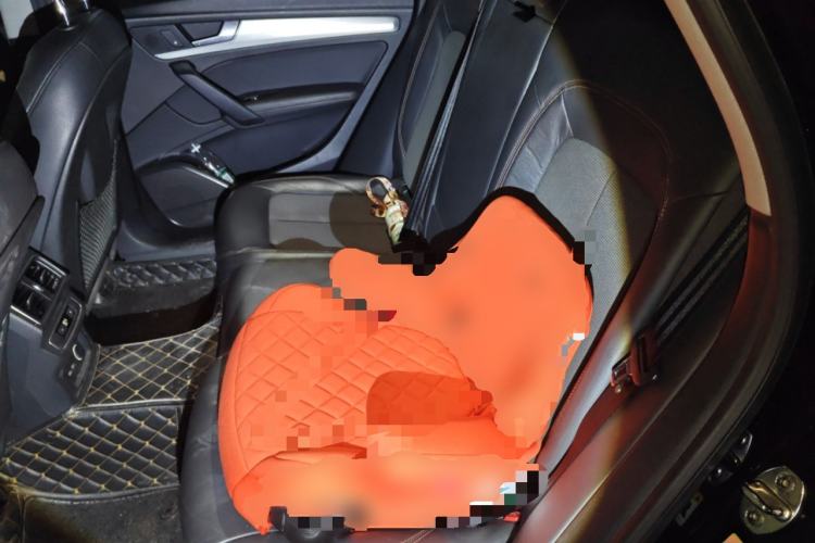 Used Audi Q5L 2018 40 TFSI Prestige Fashion Edition China VI Left Rear Seat