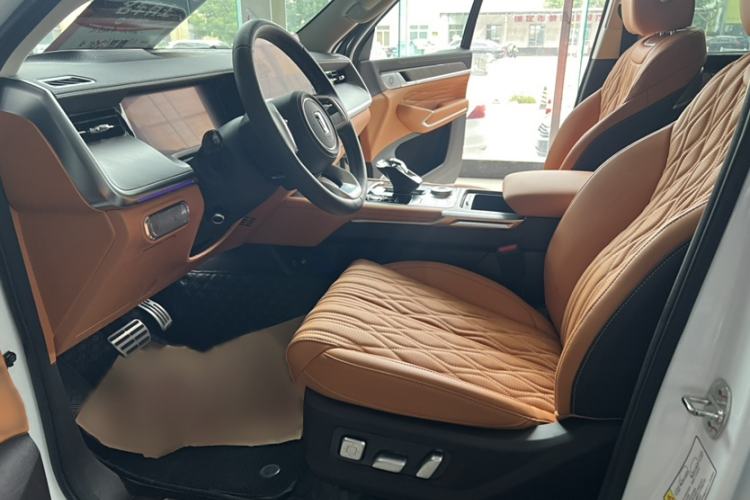 Used Tank 500 New Energy 2025 Hi4-Z Left Front Seat