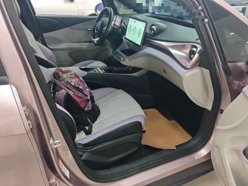 Used BYD Dolphin 2021 405 km Fashion Edition — 24