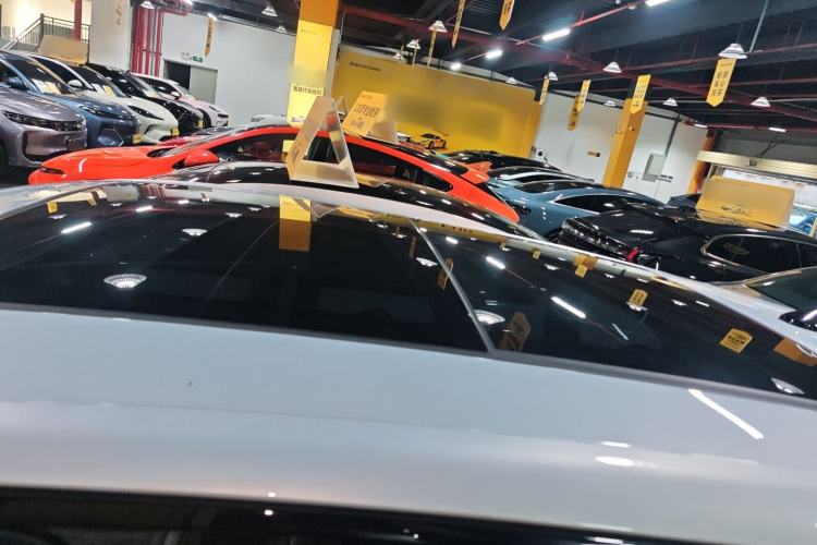 Used Leapmotor C11 2023 Pure Electric 500 Comfort Edition
