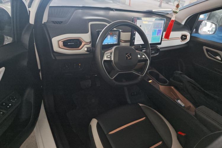 Used SOL E10X 2022 Flower Fairy Style Baby's Breath