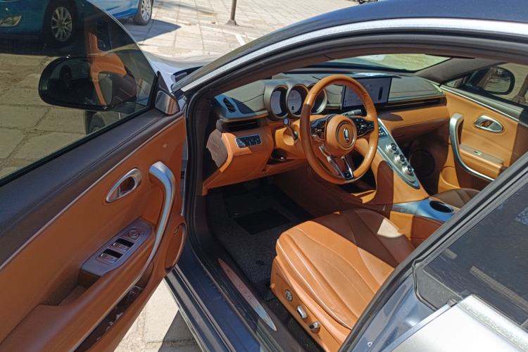 Used ORA Lightning Cat 2022 555 km Luxury Edition
