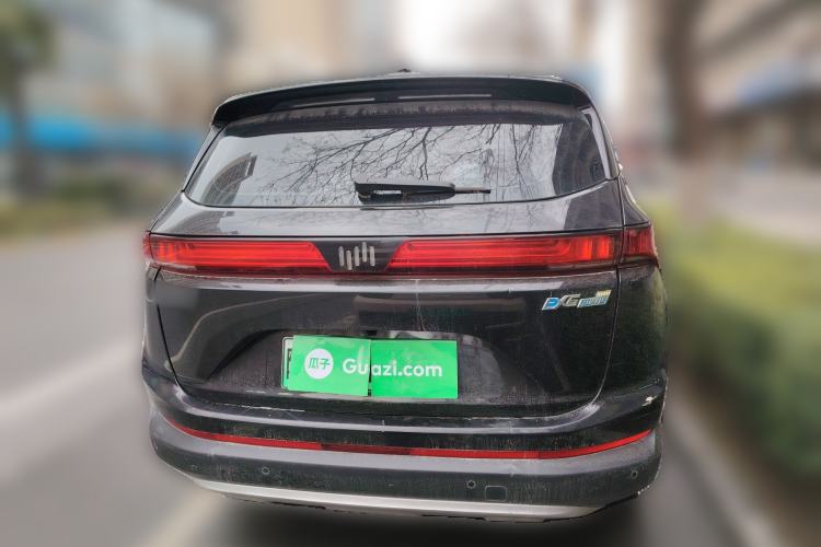 Used WM Motor EX6 2020 Plus Founder's Edition – First Launch