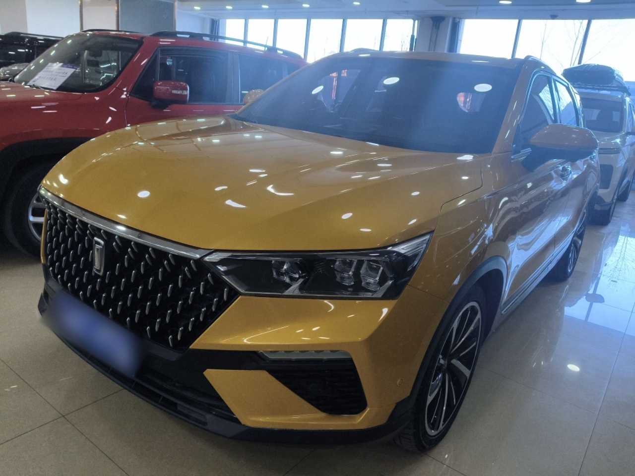 تحت مقدمة السيارة