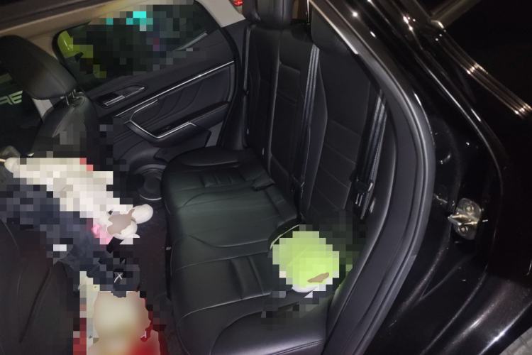 Used Wey VV5 2019 1.5T Two-Wheel Drive Smart Pioneer