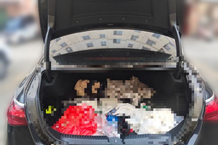 Used Mercedes-Benz E-Class 2024 E 300 L Luxury Model