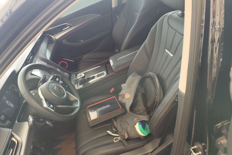 Used Hongqi H5 2024 1.5T DCT Smart Connect Flagship Edition Left Front Seat