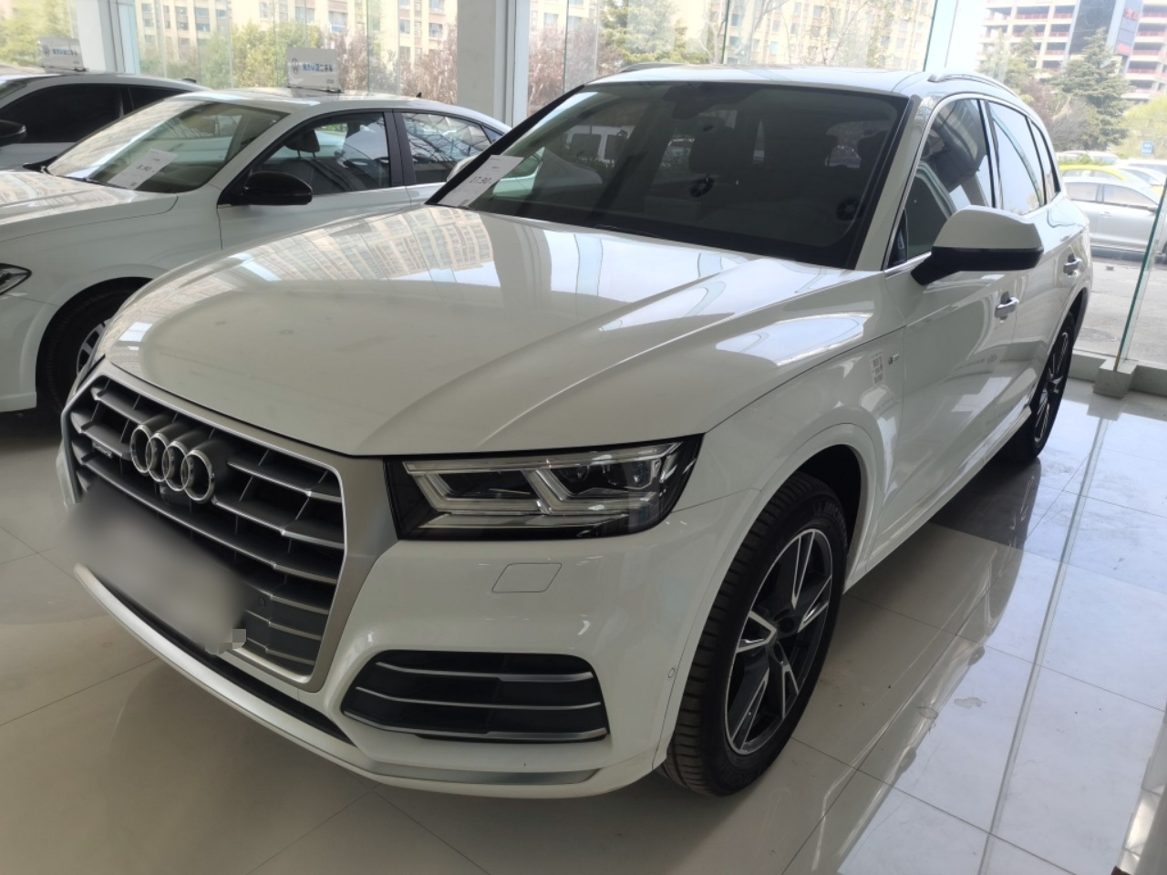 Parte inferior delantera