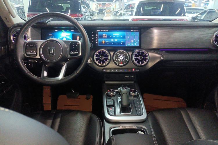 Used Tank 300 2022 2.0T Border Limited Edition
