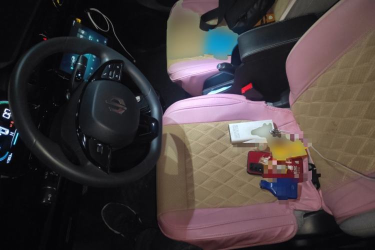 Used Leapmotor T03 2021 400 Micro-Sugar Version Left Front Seat