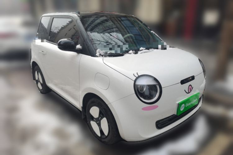 Used Qiyuan Lumin 2024 205km Launch Edition