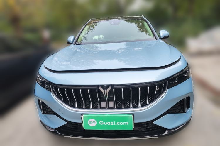 Used VOYAH FREE 2021 Four-Wheel Drive Standard Range-Extended Version
