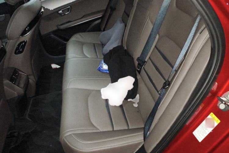 Used BYD Han 2020 DM Four-Wheel Drive Performance Edition Luxury Model Left Rear Seat