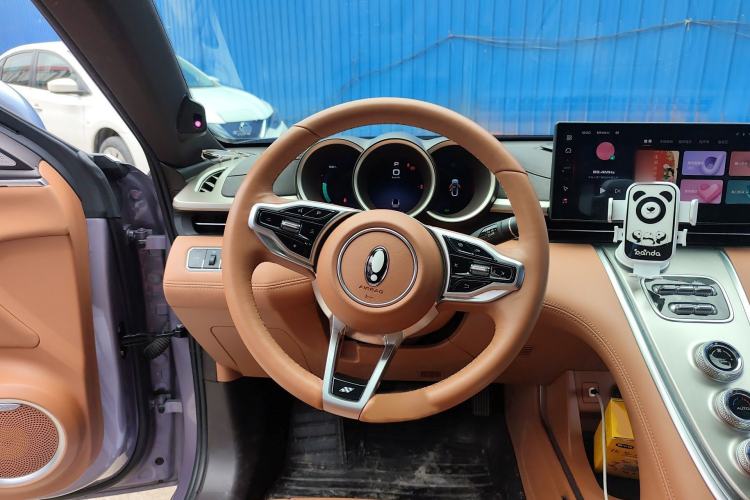 Used ORA Lightning Cat 2022 555 km Luxury Edition Steering Wheel