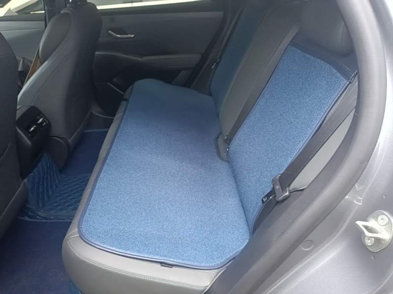 Used BYD Qin PLUS 2025 DM-i Smart Drive 55KM Leading Model — 16