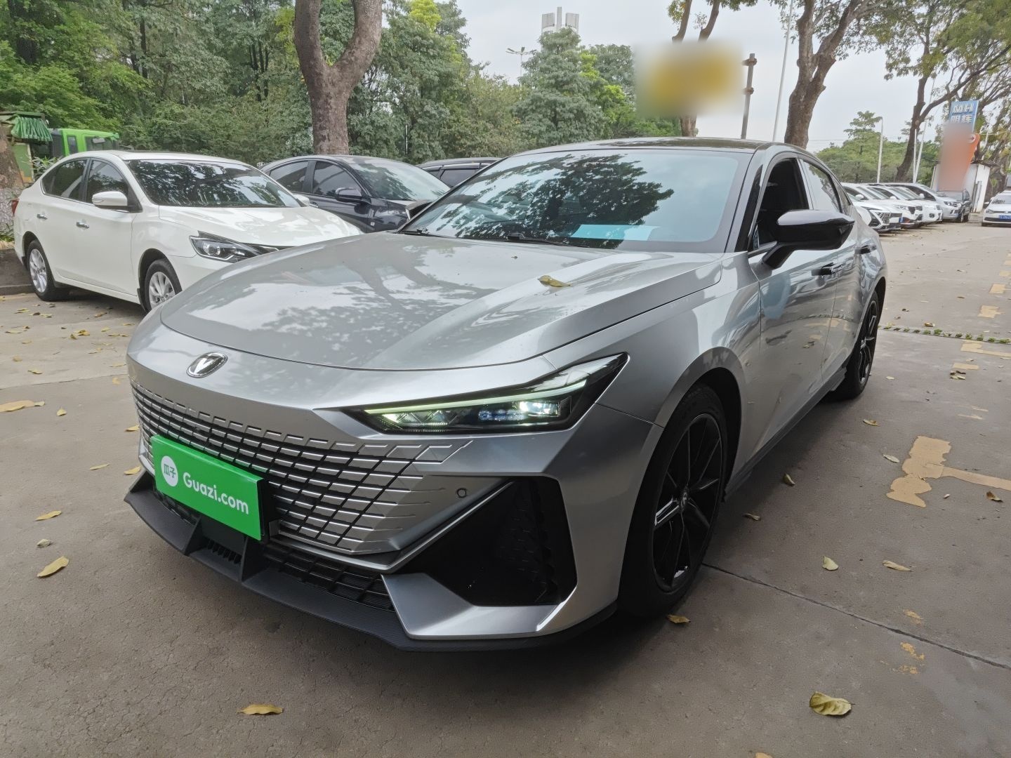 Parte inferior delantera