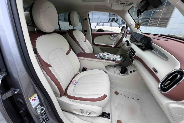 Used ORA Ballet Cat 2023 401 km Luxury Version
