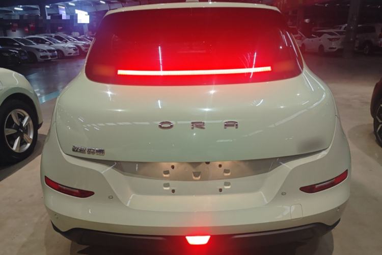 Used ORA Good Cat 2024 501 km Luxury Version Rear