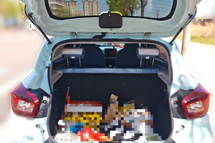 Used Dongfeng NAMMI EX1 2023 PRO Light Wind Edition Lightning Model Trunk