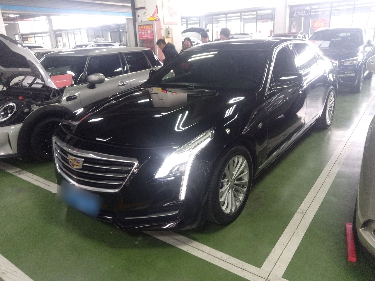 تحت مقدمة السيارة