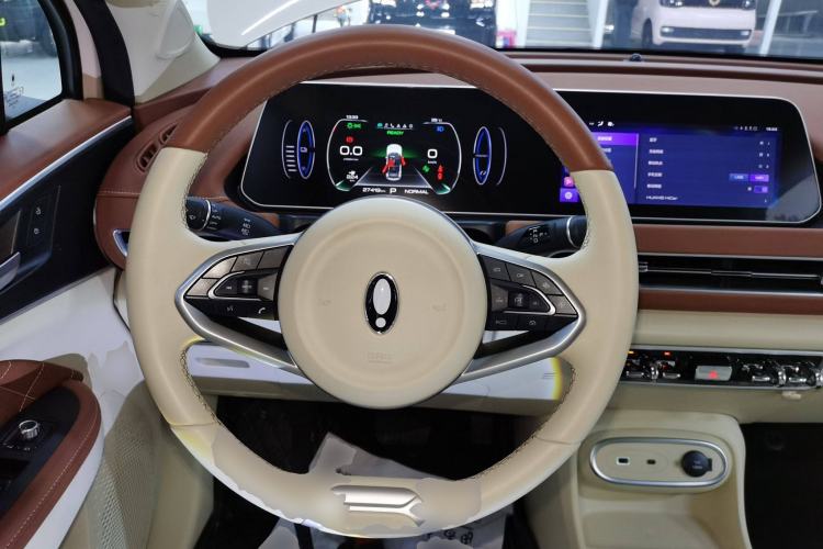 Used ORA Good Cat 2023 401 km Standard Range Luxury Version Lithium Iron Phosphate
