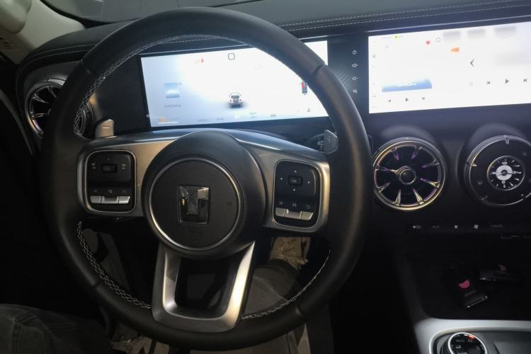 Used Tank 300 2024 2.0T Crosser
