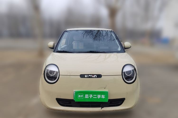 Used Qiyuan Lumin 2023 205km Xiangqin Version
