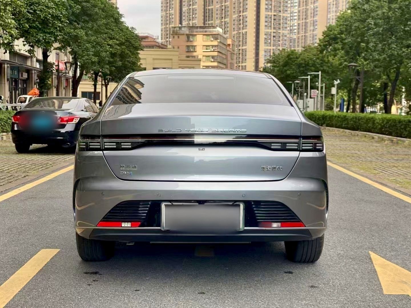 BYD Destroyer 05 2023 Champion Edition DM-i 55KM Luxury Model — снимка 13