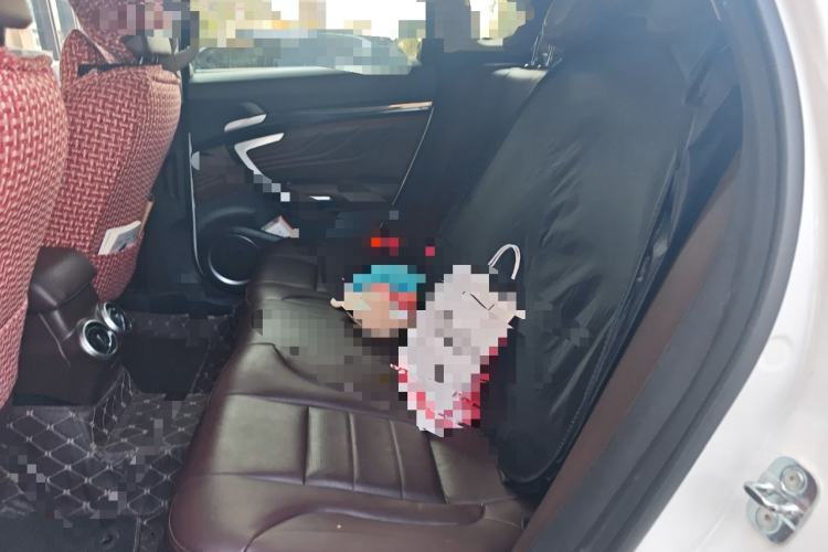 Used Wey VV7 2017 2.0T Ultra-Luxury Version