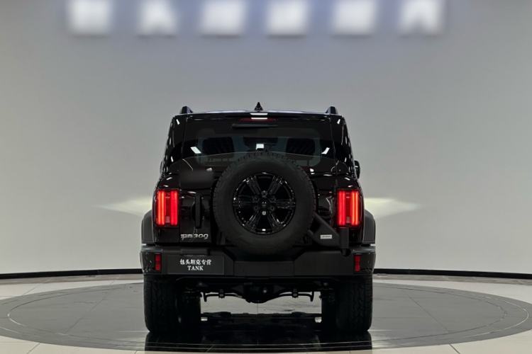 Used Tank 300 2025 2.4T Diesel Version
