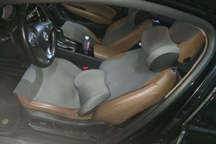 Used Buick Regal 2019 20T Elite Version China V Standard