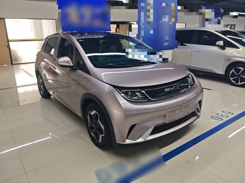 Used BYD Dolphin 2021 405 km Fashion Edition — 27
