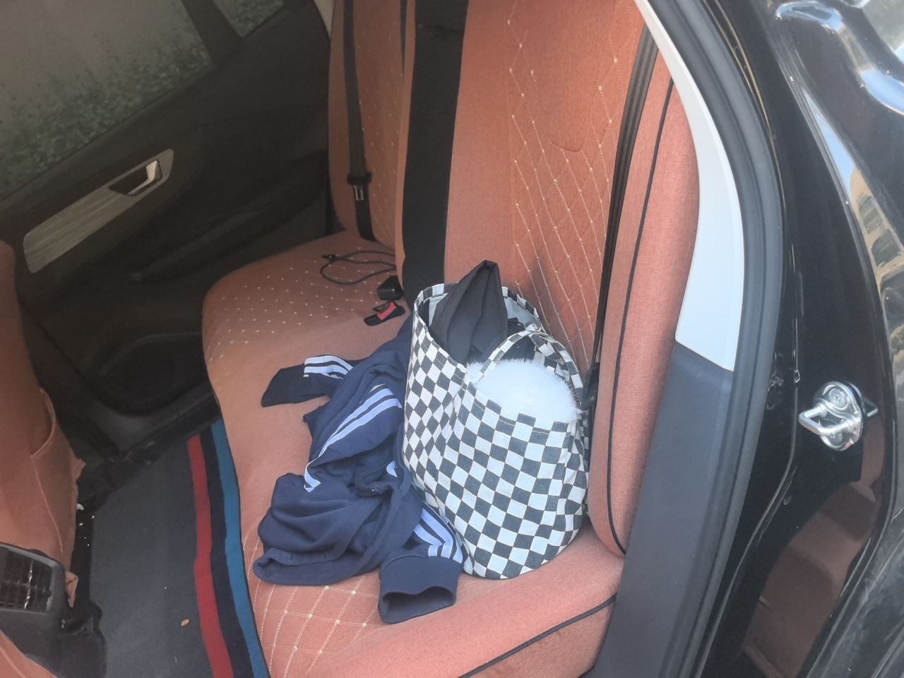 Hongqi E-QM5 2025 500km Range Commuter Version — снимка 17