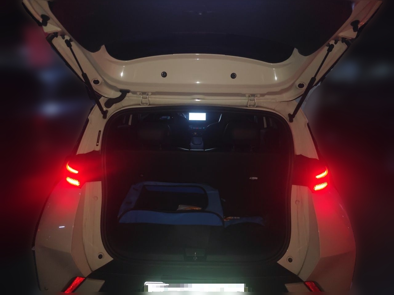 BYD Seagull 2023 Free Edition — снимка 19