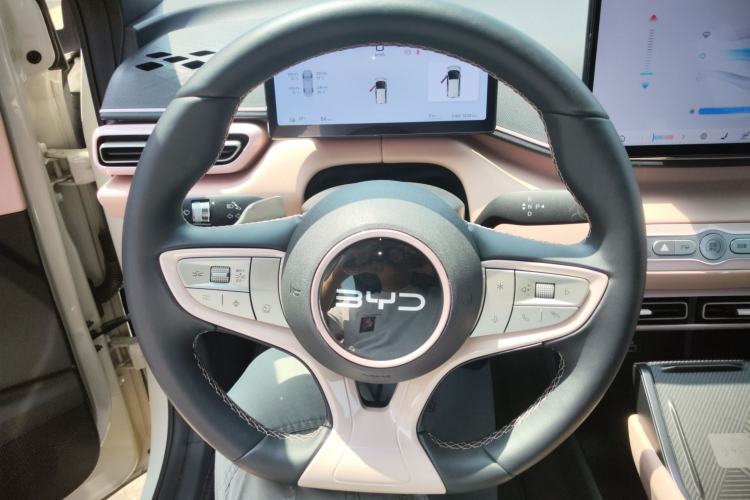 Used BYD Seagull 2025 Smart Drive Version 305 km Freedom Edition
