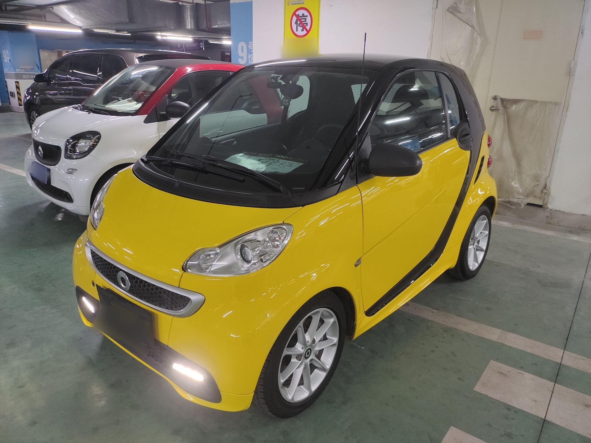 Parte inferior delantera