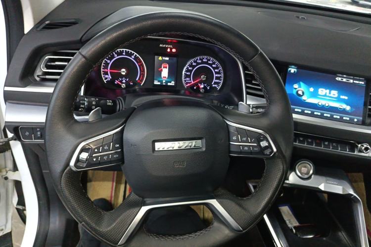 Used Haval H6 2017 Red Label 2.0T Automatic Two-Wheel Drive ZhiShang Model