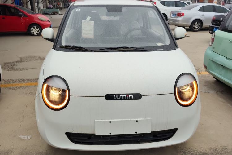 Used Qiyuan Lumin 2023 301km Honey Dew Edition
