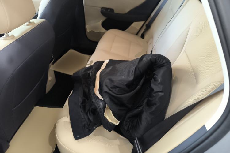 Used Hongqi Tiangong 05 2025 550 Smart Selection