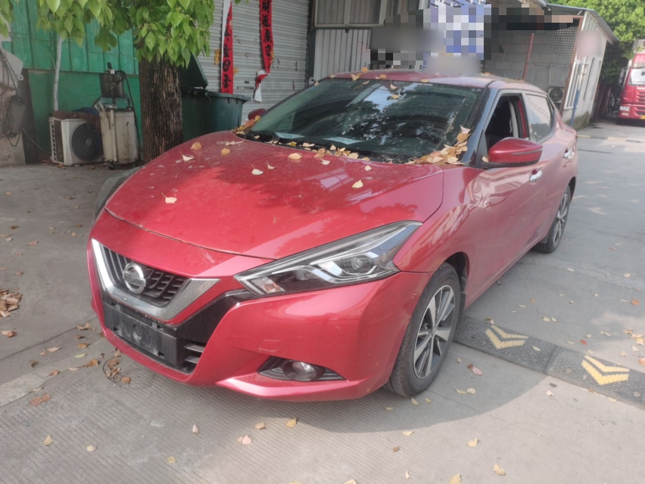 Parte inferior delantera