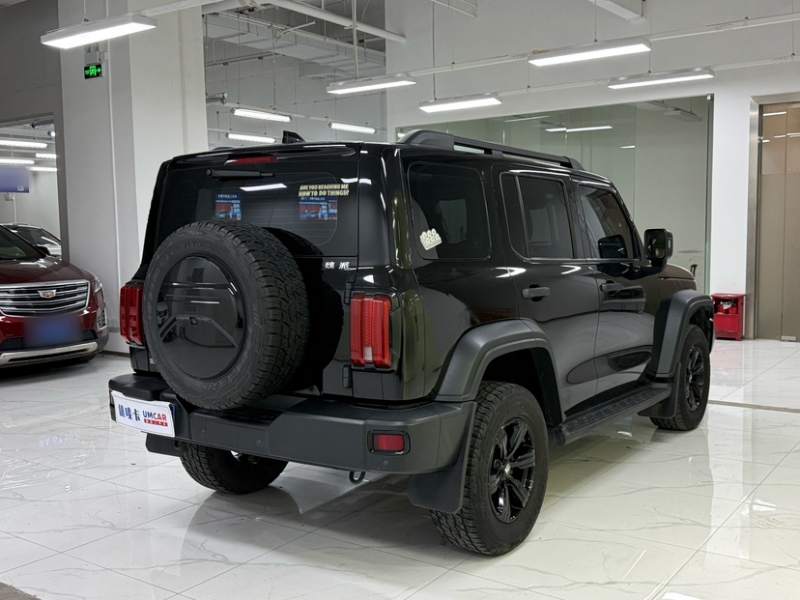 Used Tank 300 2021 Off-Road Edition 2.0T Conqueror — 32