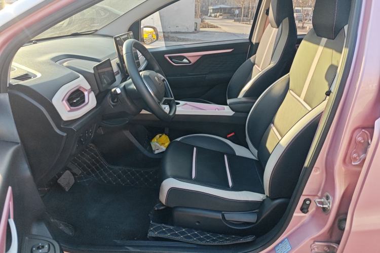 Used SOL E10X 2022 Flower Fairy Design Sunflower