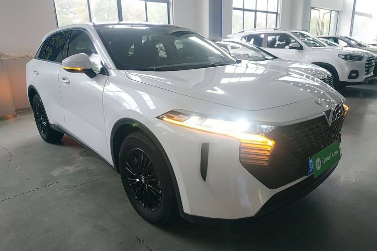 Used Venucia V 2022 260T Black Horse Edition · Idol