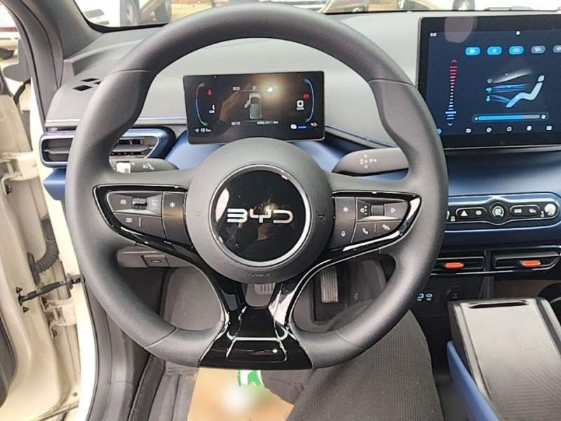 Used BYD Seagull 2025 Intelligent Driving Version 305 km Dynamic Edition — 10