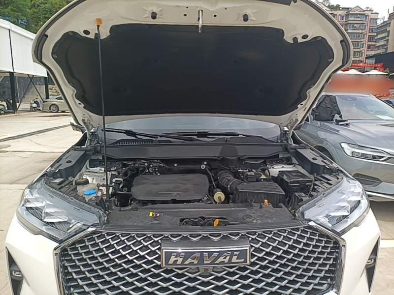 Used Haval H6 2022 3rd Generation 1.5T Automatic Two-Wheel Drive Max — 19