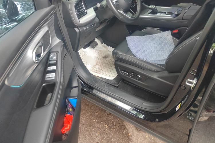 Used GAC Trumpchi GS8 2024 Linghang Series 2.0 TGDI Two-Wheel Drive Luxury Smart Connectivity Version
